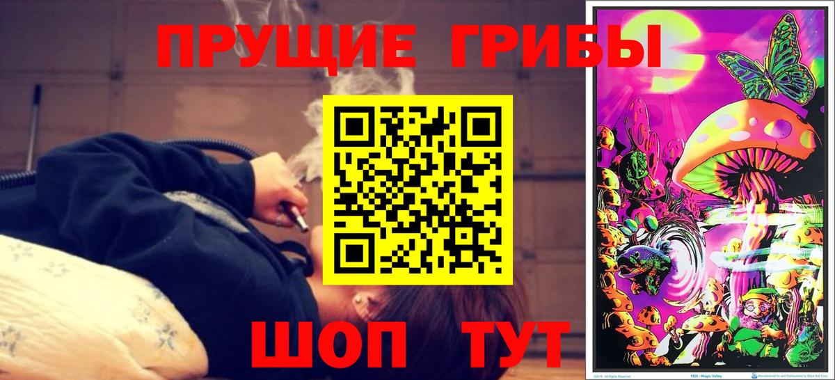 Псилоцибиновые грибы Psilocybine cubensis Татарск